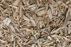 biomass boilers Dunthrop